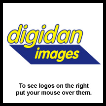 digidan images - logo design